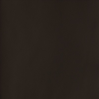 Kasmir BY DESIGN        UMBER           